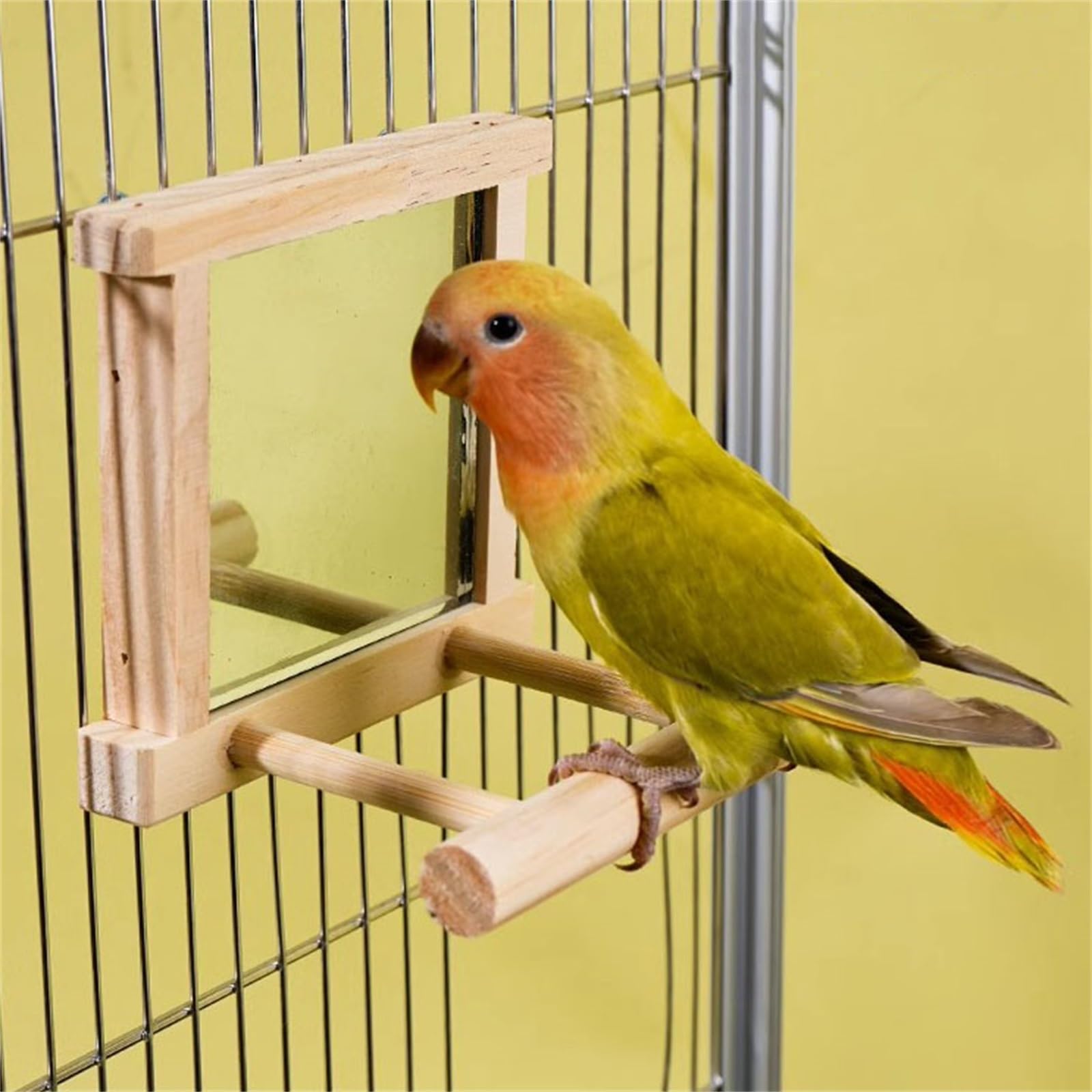 Amazon.co.jp: インコ鏡 鳥ミラーおもちゃ鳥ミラー鳥スタンドミラー